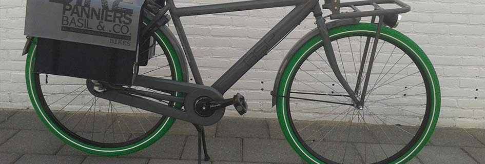 Copertoni bicicletta DUTCH PERFECT