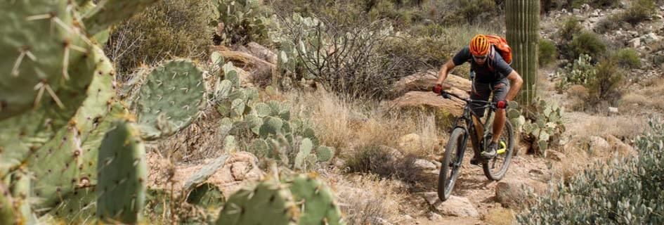 Copertoni bicicletta WTB