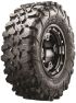 28141753-Carnivore ML1
