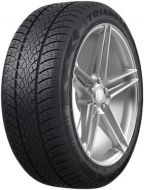 28202453-WinterX TW401