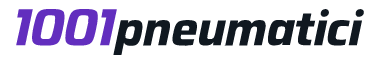 1001Pneumatici, specialista della vendita di pneumatici online